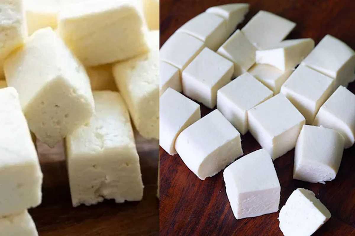 जानिए क्या है पनीर और टोफू में अंतर? रोजाना सेवन से होंगे कई फायदे